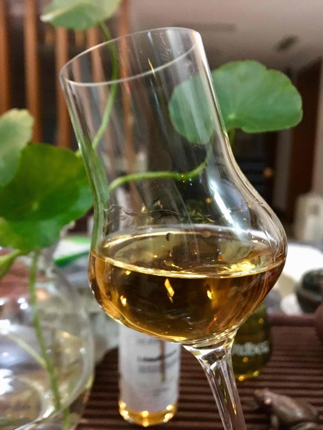 第一次喝高大上协会酒