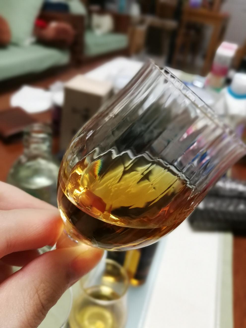 世界杯决赛.当富士山麓18遇上菊池武夫杯