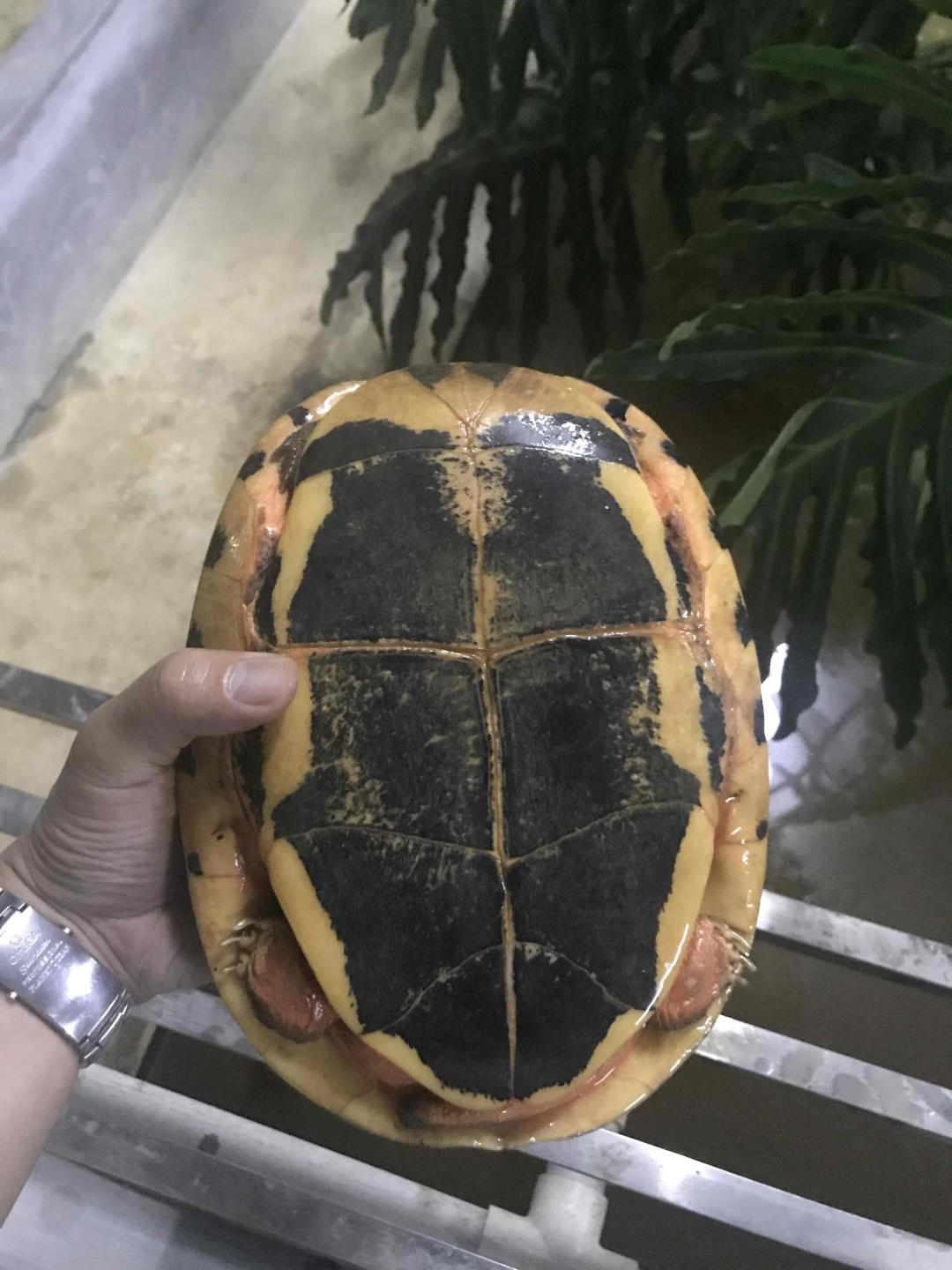 除了酒之外的爱好<img src='https://sdata.whiskyworm.com/xcxpics/emoji_7.png' class='emoji' />