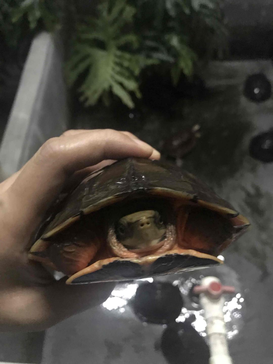 除了酒之外的爱好<img src='https://sdata.whiskyworm.com/xcxpics/emoji_7.png' class='emoji' />