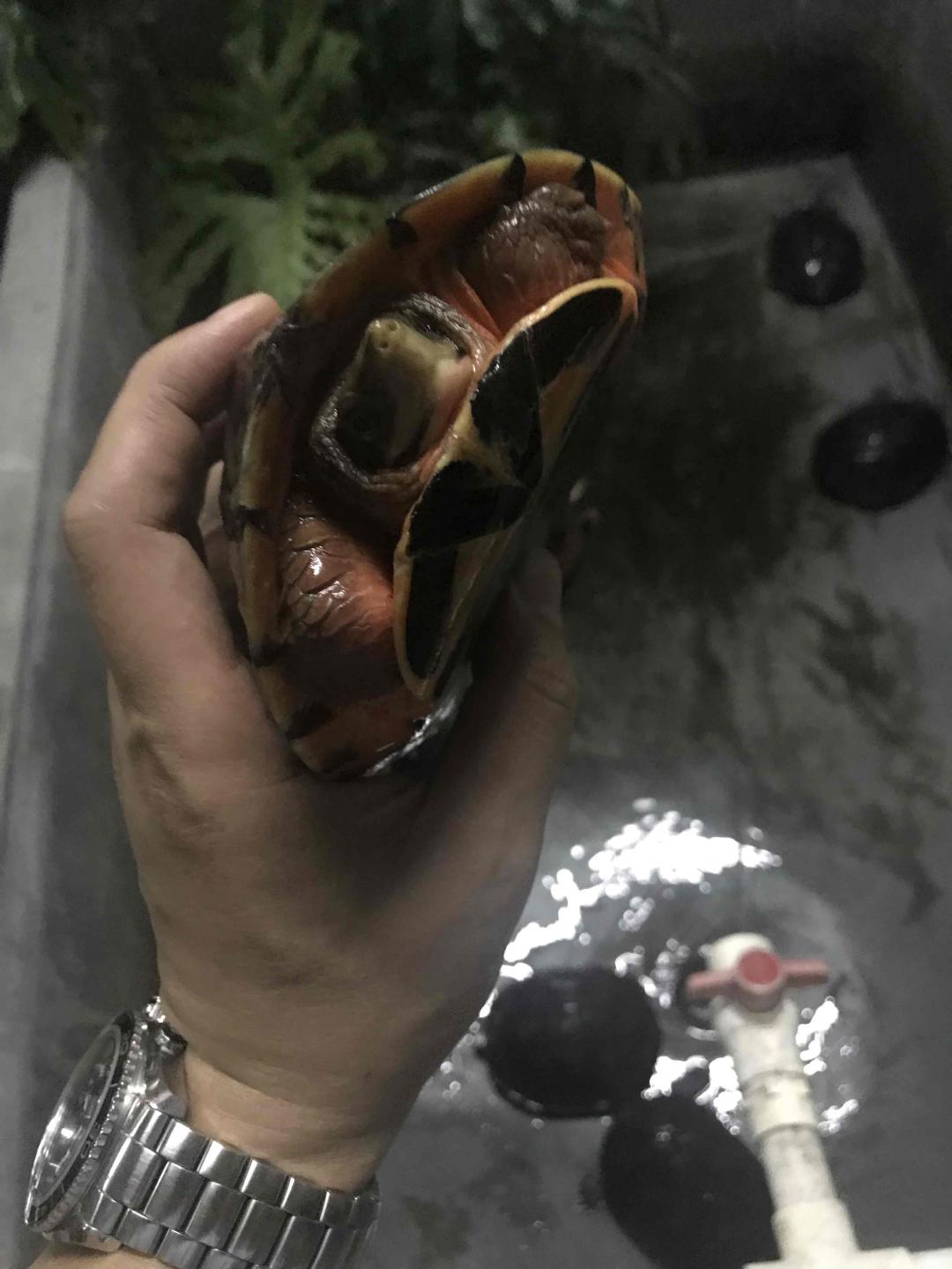 除了酒之外的爱好<img src='https://sdata.whiskyworm.com/xcxpics/emoji_7.png' class='emoji' />