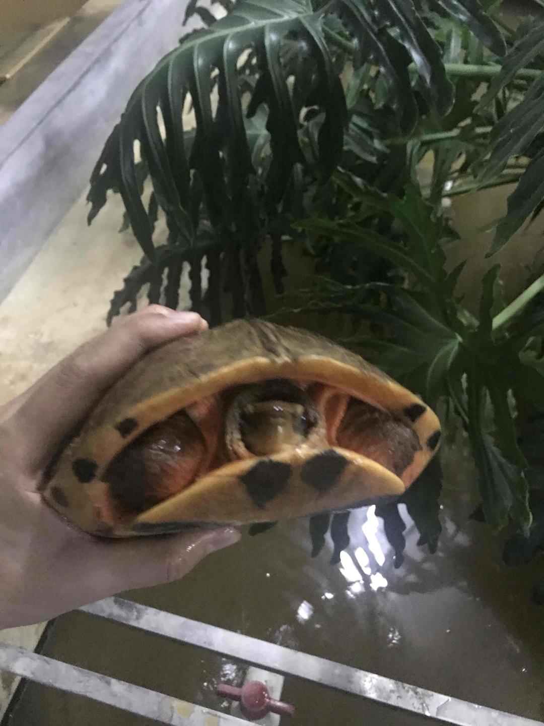 除了酒之外的爱好<img src='https://sdata.whiskyworm.com/xcxpics/emoji_7.png' class='emoji' />