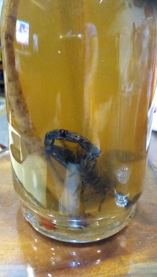 誰敢來試試看阿 嘻嘻嘻