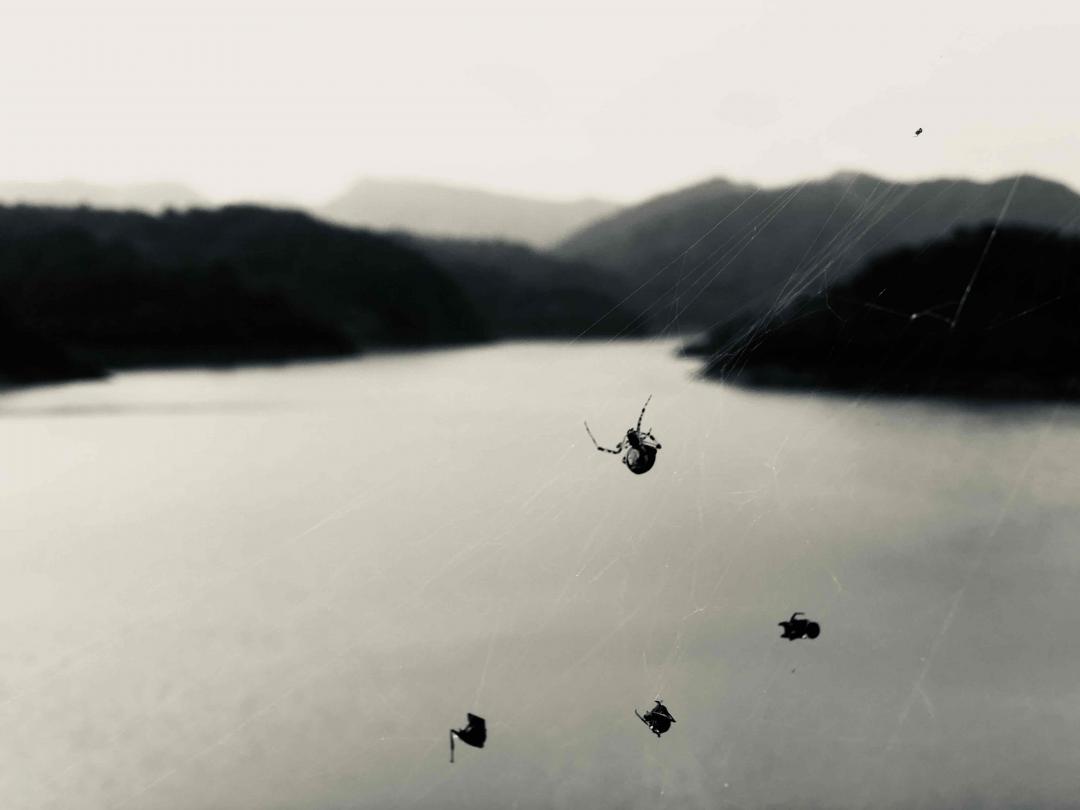 郊游·微醺<img src='https://sdata.whiskyworm.com/xcxpics/emoji_1.png' class='emoji' /><img src='https://sdata.whiskyworm.com/xcxpics/emoji_14.png' class='emoji' />