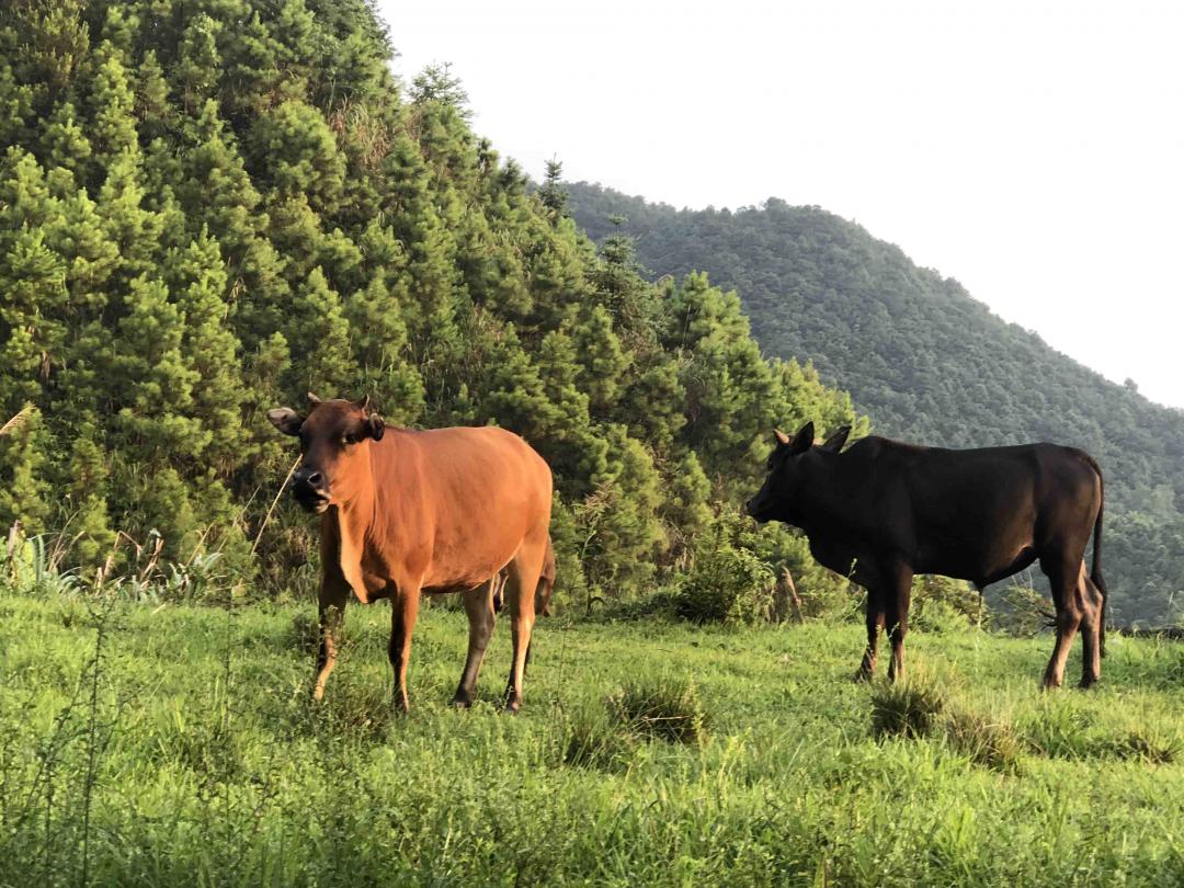 郊游·微醺<img src='https://sdata.whiskyworm.com/xcxpics/emoji_1.png' class='emoji' /><img src='https://sdata.whiskyworm.com/xcxpics/emoji_14.png' class='emoji' />