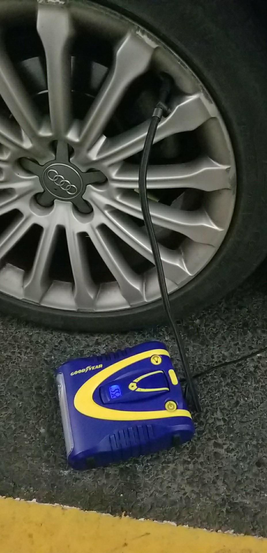 买了两个新玩具