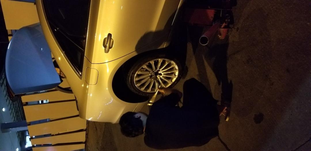 买了两个新玩具