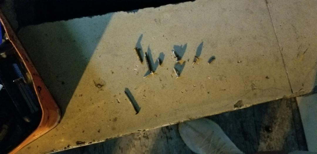 买了两个新玩具