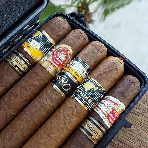 许久没有露面了