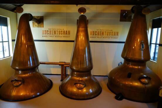 感谢CWS，带我领略曼妙无边的低地风情