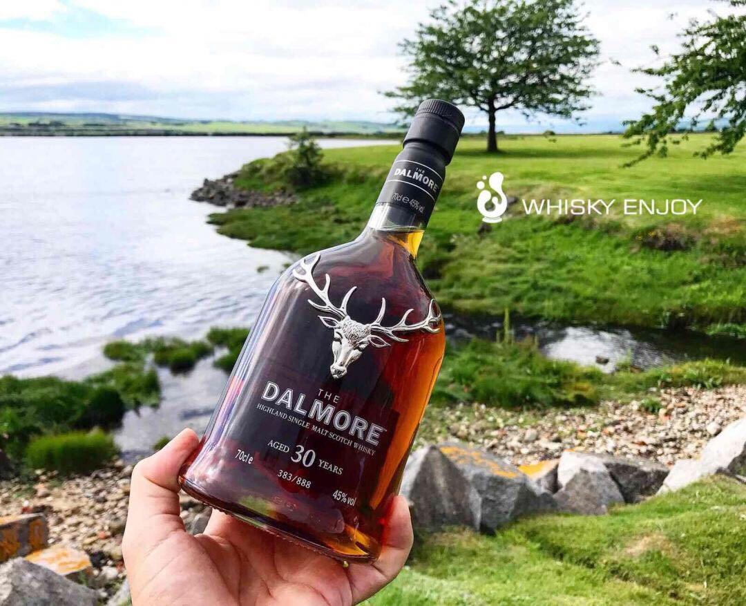 個人總結入門必須起步高，不然最後發覺浪費很多錢，啥也沒喝明白。下面給大家推薦幾款可喝可藏的（基本都是大家咬咬牙能開的動的）注：達摩30照片來源於 本網大魔王<img src='https://sdata.whiskyworm.com/xcxpics/emoji_21.png' class='emoji' />