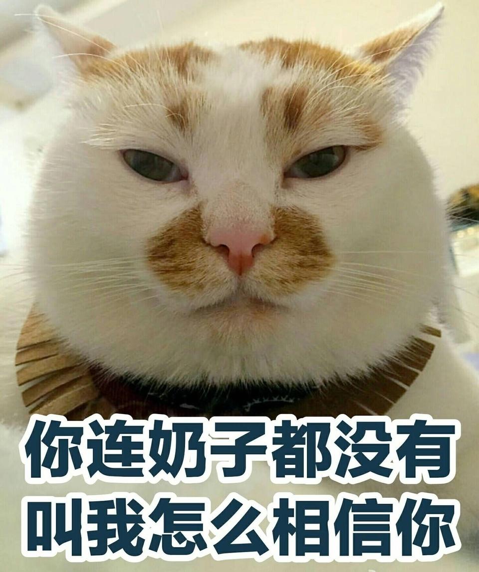 Whisky l 住不起W酒店，求推荐几百档的( ˘•ω•˘ )