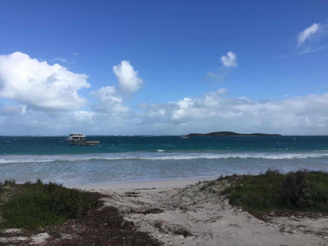 打个卡，纪念一下！