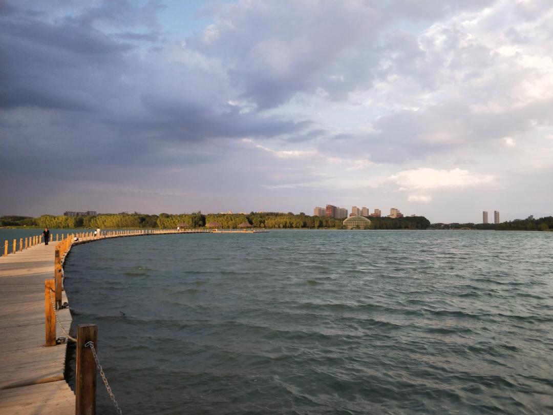 本人胖虎，不久前加入酒虫，里面许多美女，许多俊男，不停地品尝，不停地分享，有聊人生百味，也有酸甜苦辣，他们都是人才，很会说话，虽然天各一方，却很立体。他们都说这是精神的彼岸，旅途的终点，却总是靠不了岸。偶尔我从醉梦中醒来，酒汗淋漓，其他人仍然乐此不疲，我试图结束账单，回到过去，W先生和我说，你可以随时买单，但永远结束不了……