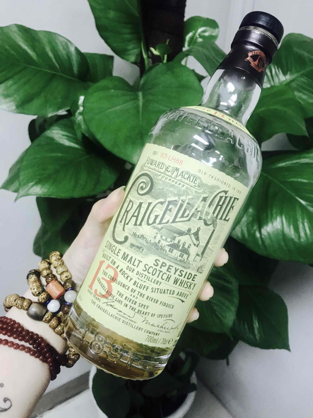 礁石岩石傻傻分不清～…!