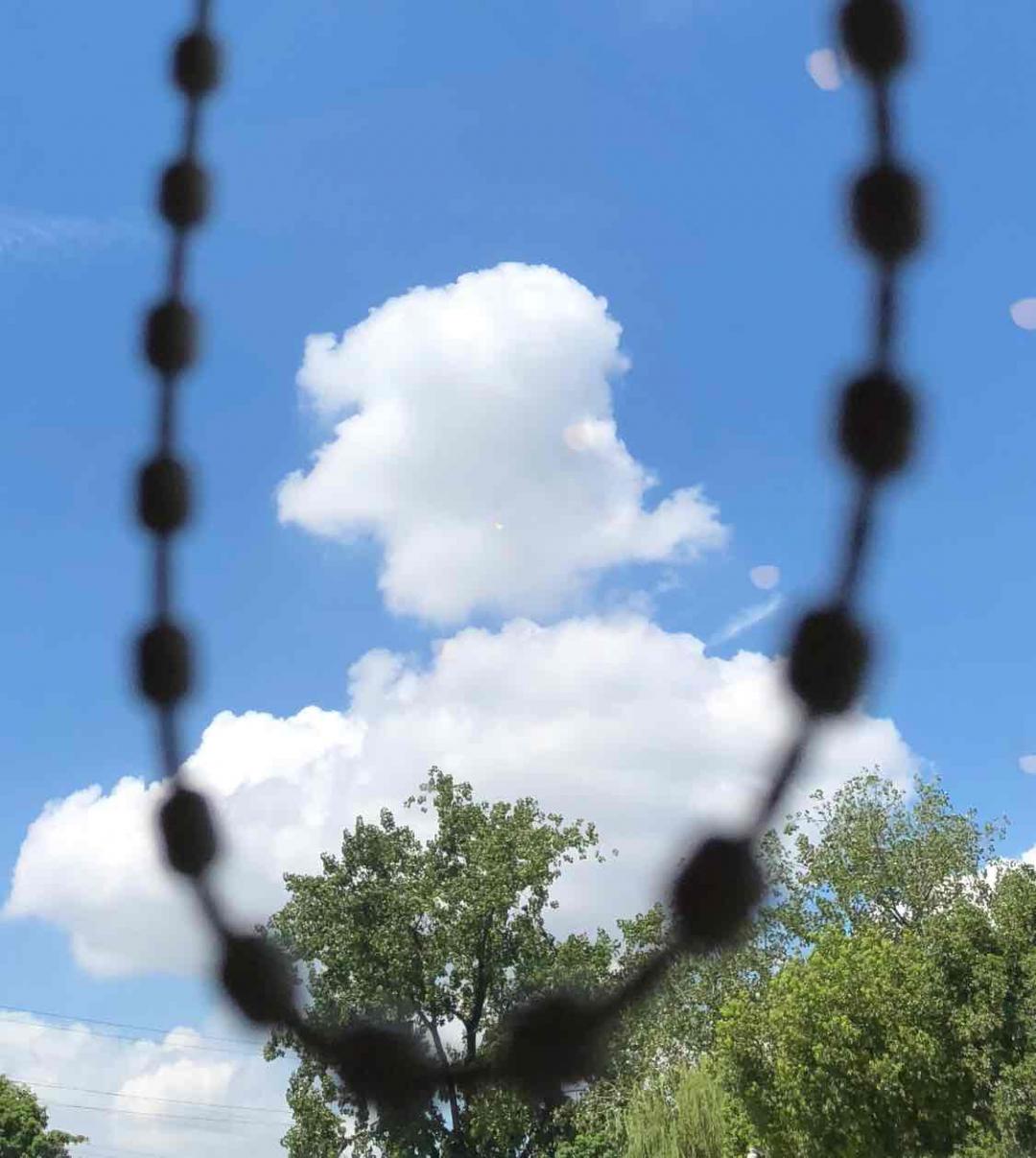 装B，此处无酒评