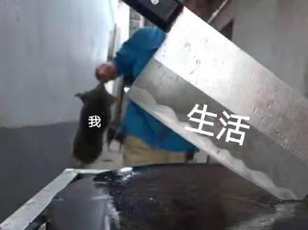 9.9酒水节有什么价格友好值得买的吗