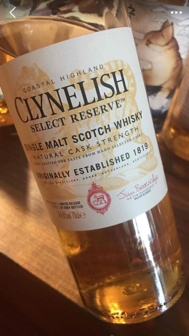 (补发)寻找这款小猫