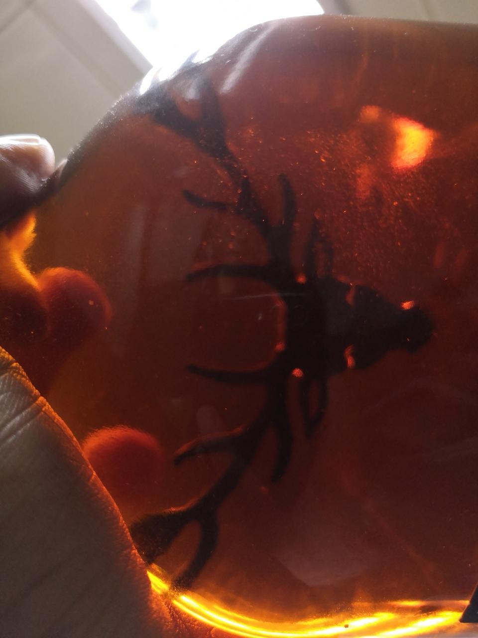 代理商那里拿了一瓶，有悬浮物。注意右下亮光处