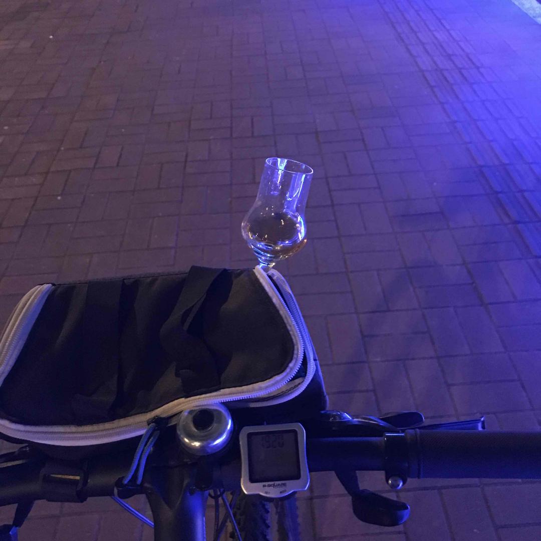 环金鸡湖骑行
