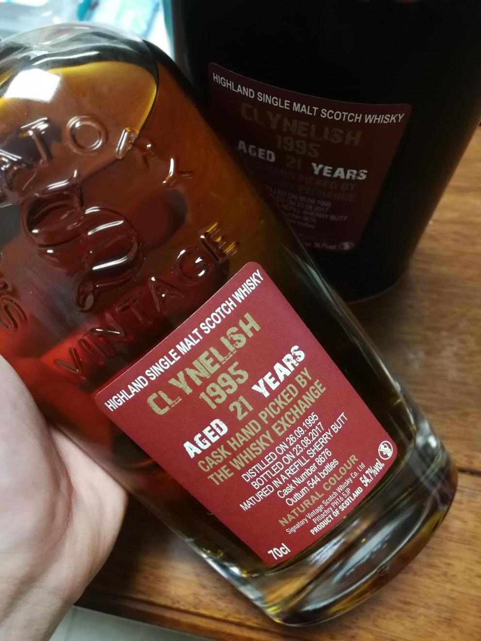 一直找了很久的小猫