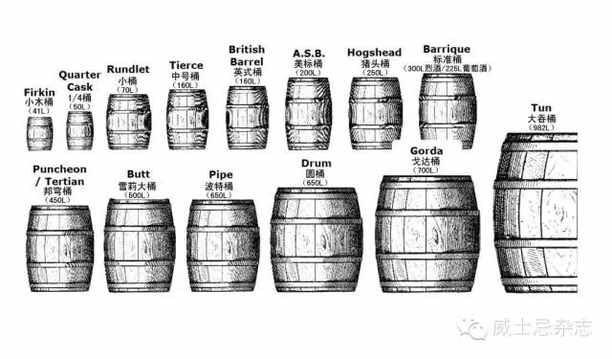 人丑就要多读书⛽️