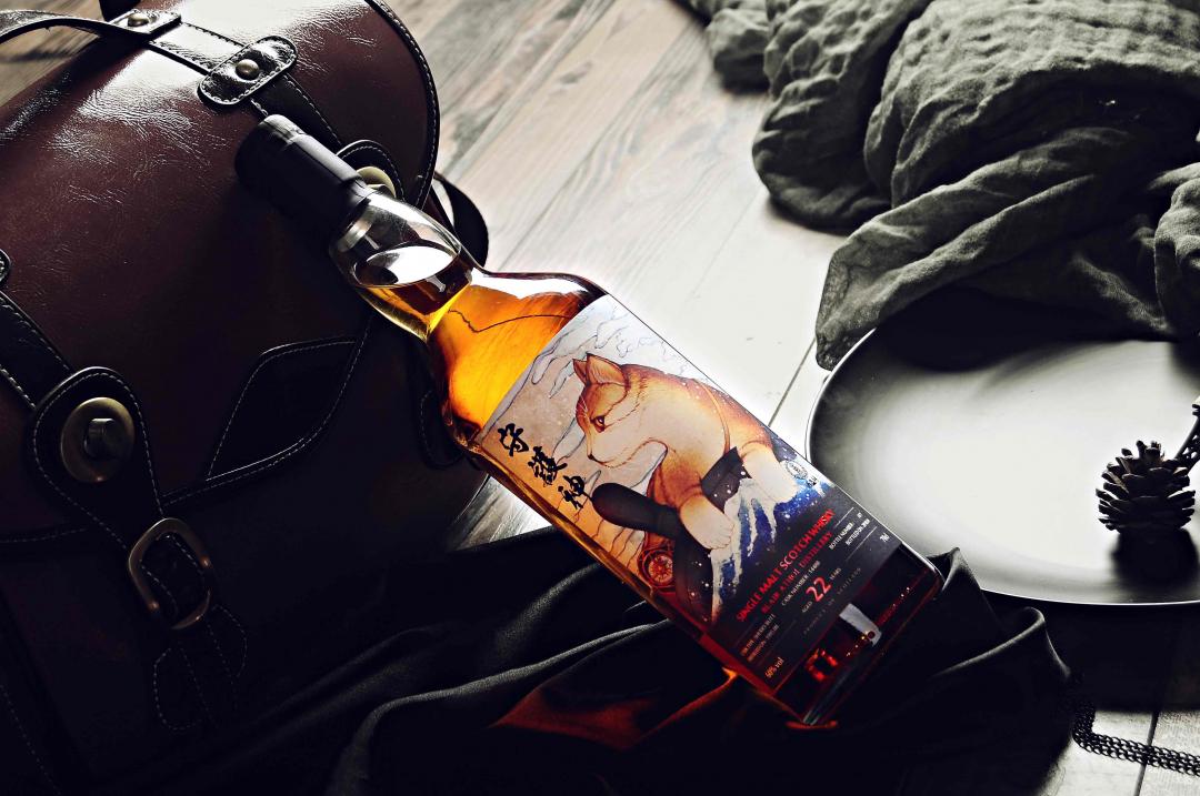 守护神系列 - 布莱尔·阿苏22年🐱