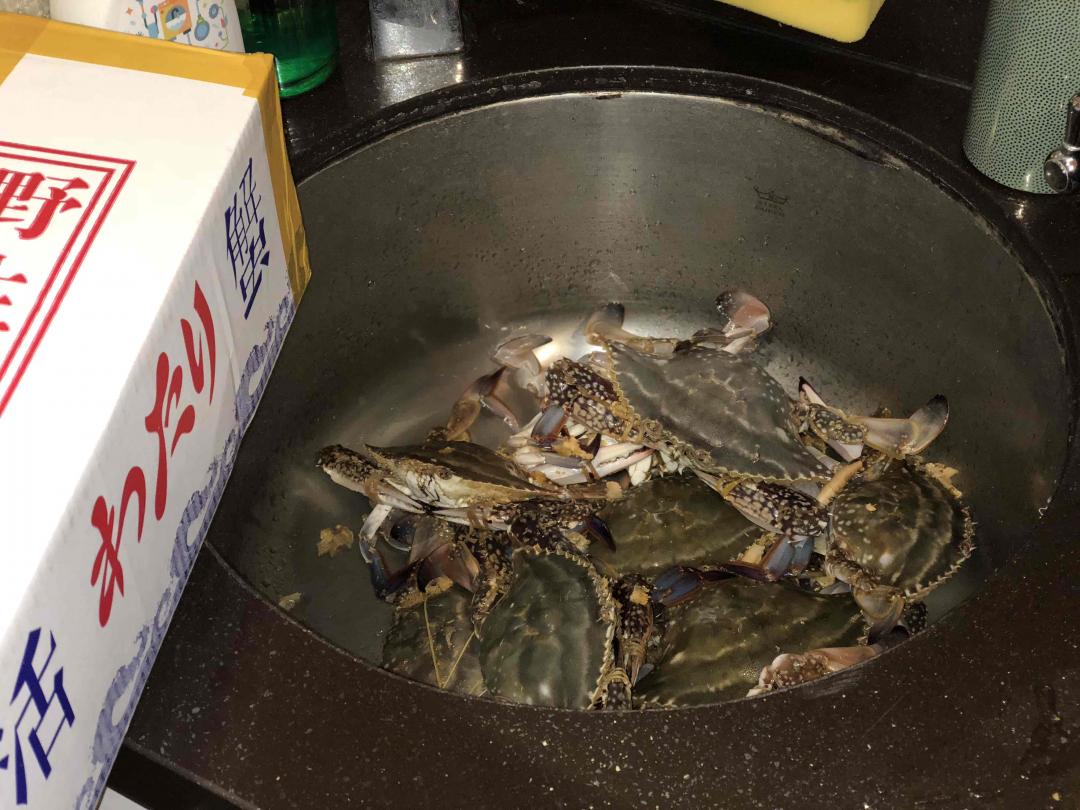 朋友舟山直送，分秒必争，马上搞定。除了香辣蟹和蒸着吃，还弄了一种，大家猜猜。