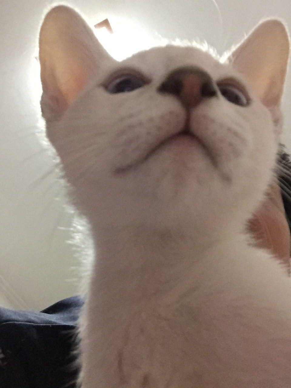 酒已到 另询问有没有了解某宝仓吉手工的大佬