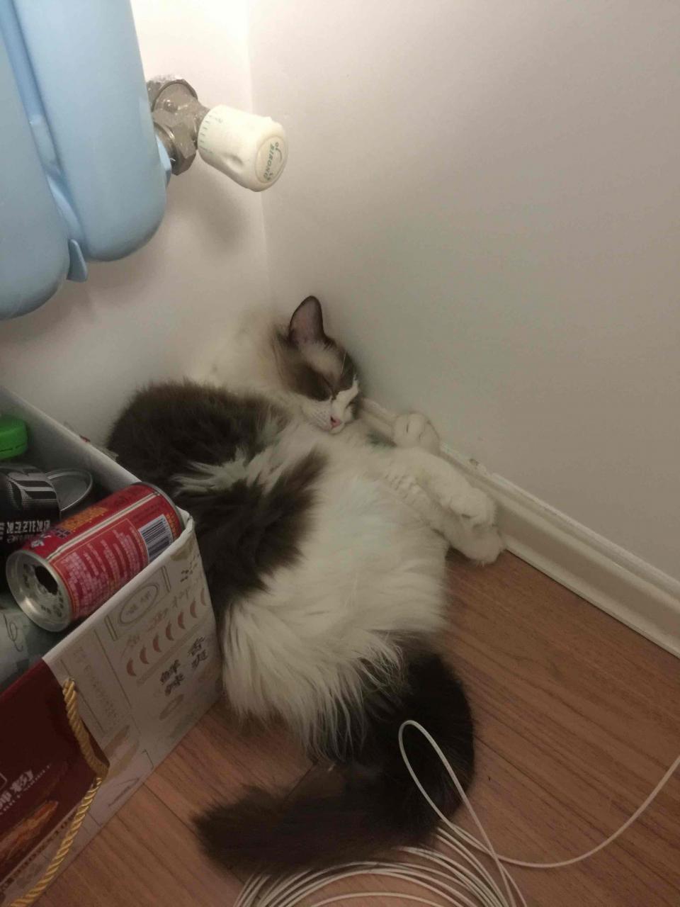 姐姐凑合看…