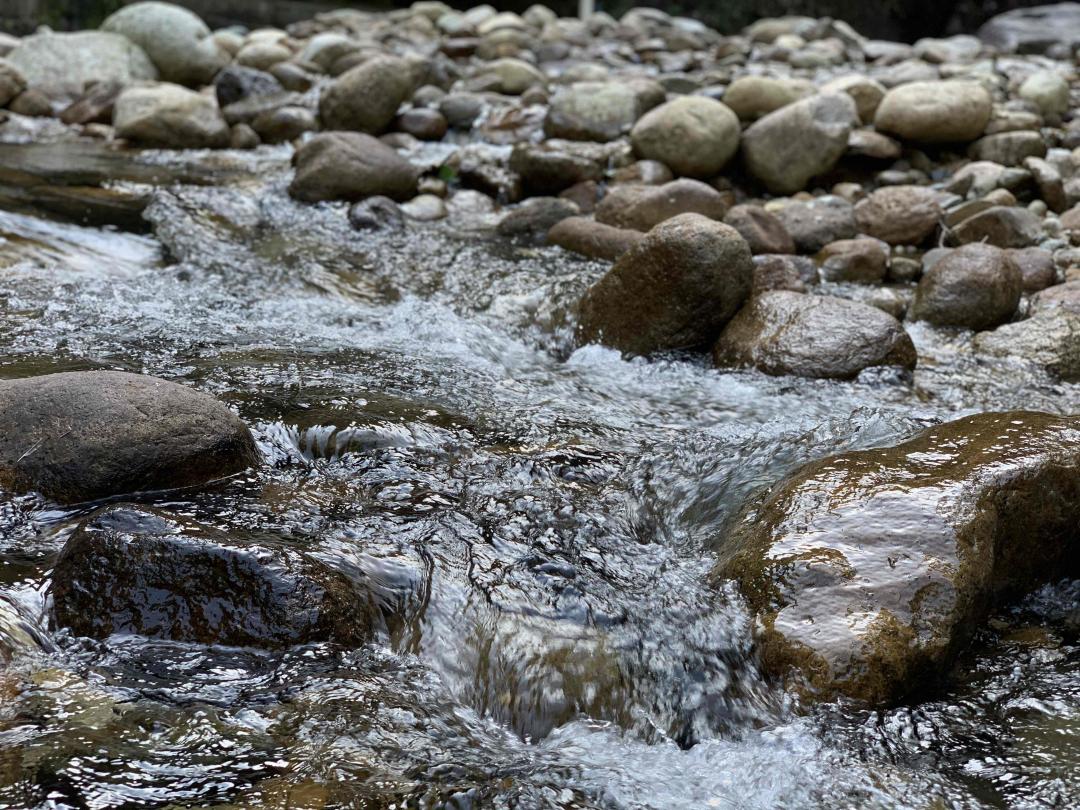 假如我是真的……