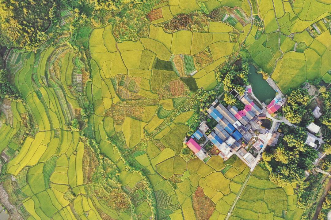 假期，飞啊飞啊