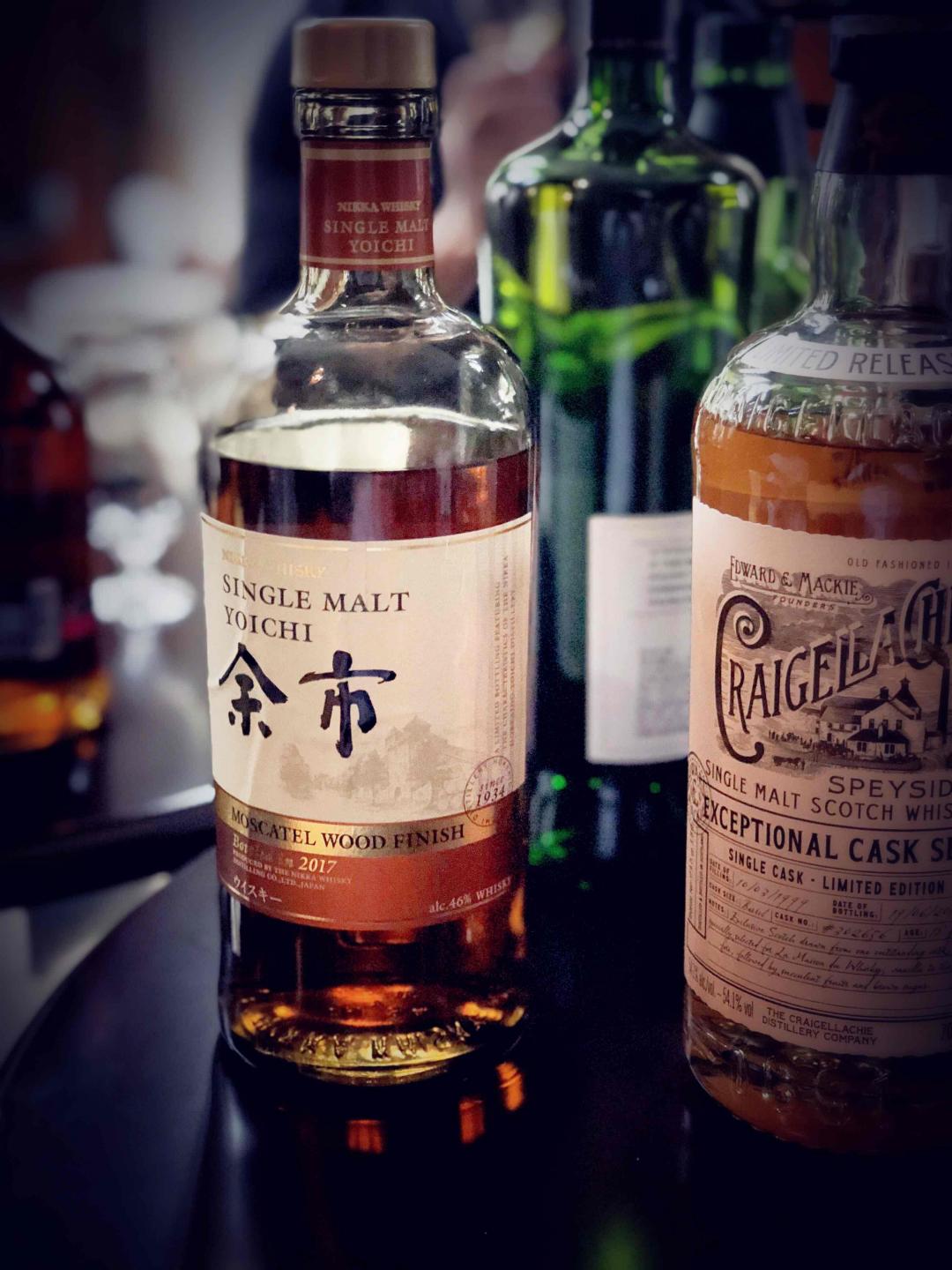 酒要多喝🥃