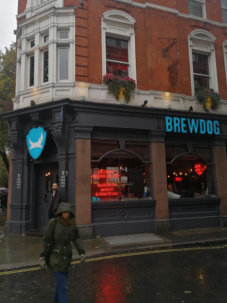 伦敦两家酿酒狗