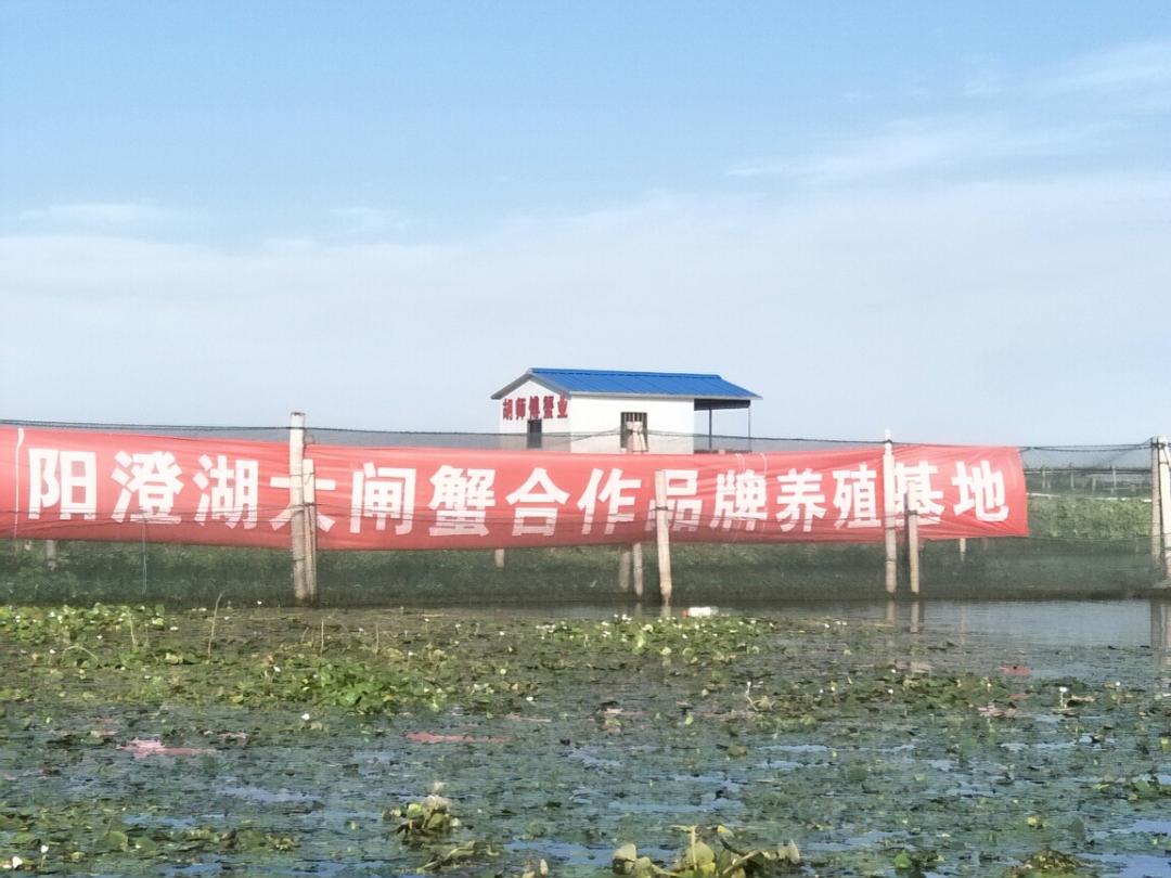 季節到了，今秋就妳了