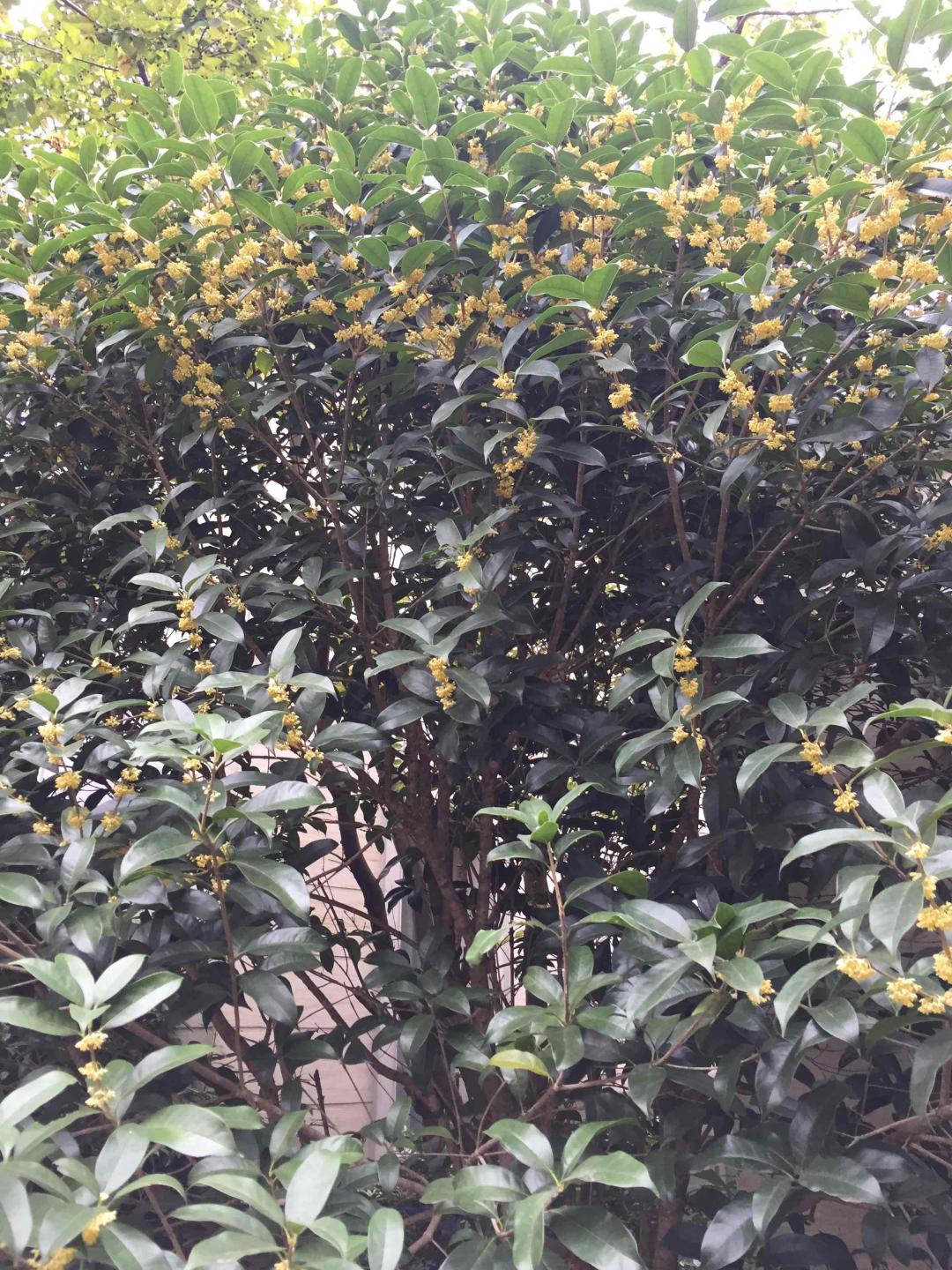 换换口味，撞撞运气