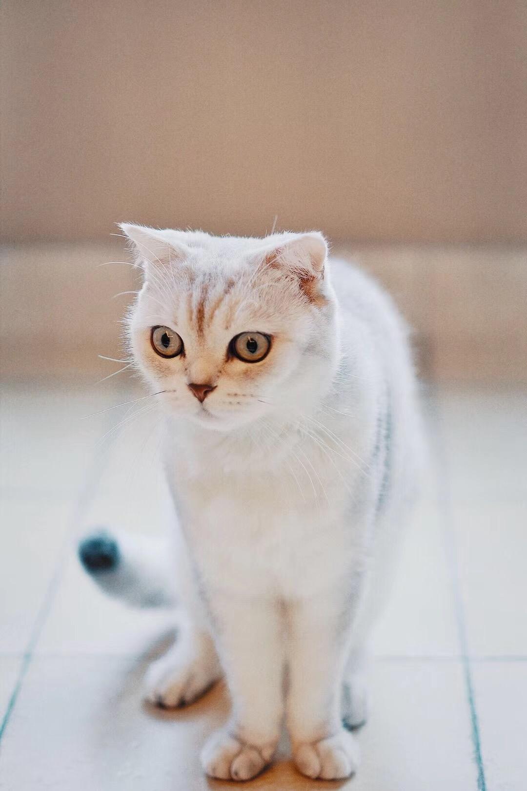 富在深山有远亲。不信但看宴中酒，杯杯先敬富贵人。