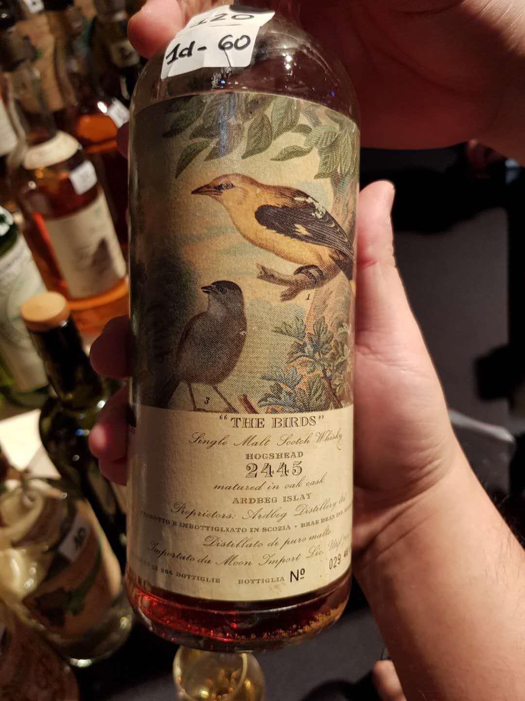 WB第一天