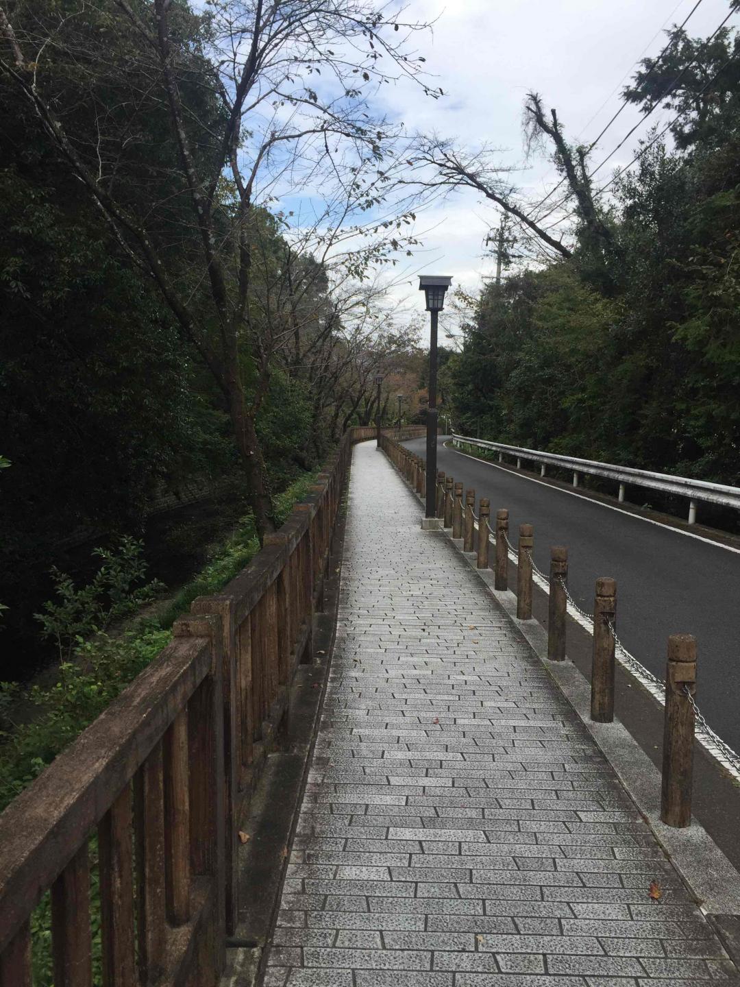 见鹤心喜<img src='https://sdata.whiskyworm.com/xcxpics/emoji_14.png' class='emoji' />