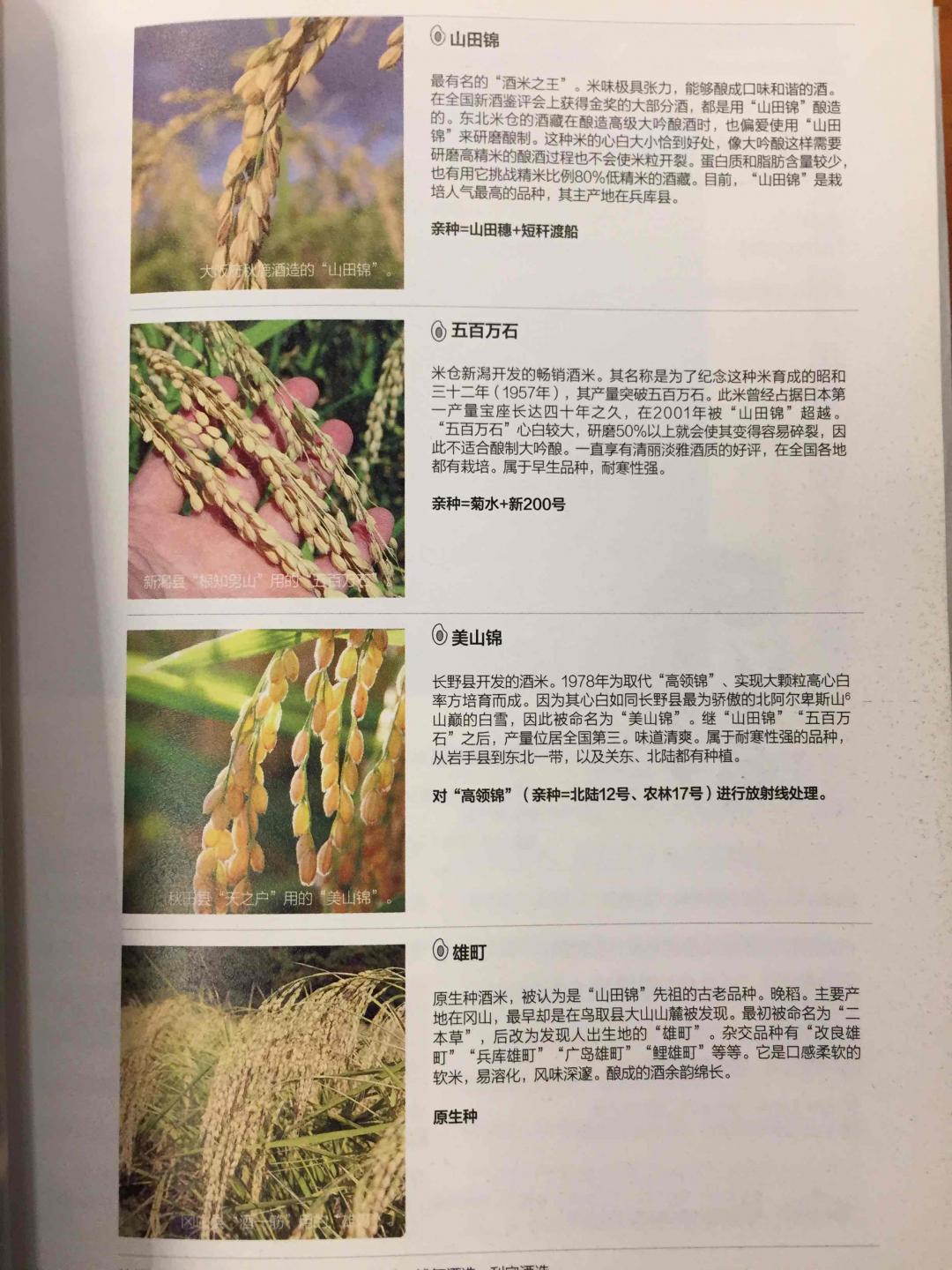 换个口味学习
