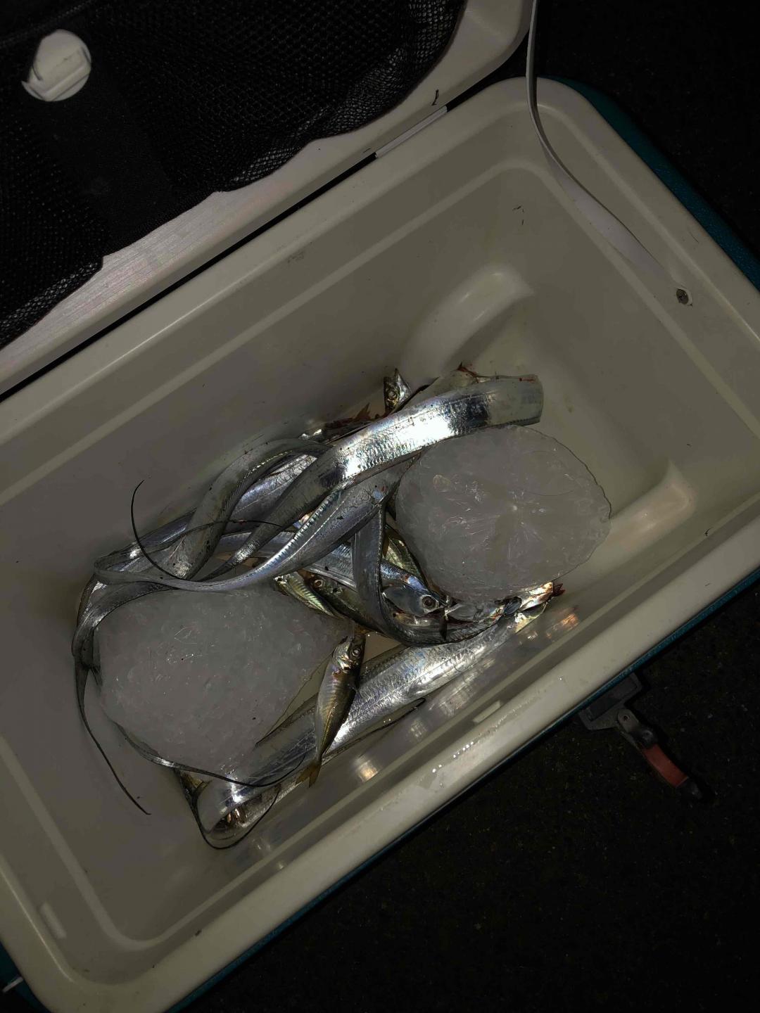 昨天上午酒廠喝酒下午海邊釣魚可惜釣魚沒帶酒 到晚上好冷<img src='https://sdata.whiskyworm.com/xcxpics/emoji_21.png' class='emoji' />休閒生活結束 今天開始好好工作<img src='https://sdata.whiskyworm.com/xcxpics/emoji_31.png' class='emoji' /><img src='https://sdata.whiskyworm.com/xcxpics/emoji_31.png' class='emoji' /><img src='https://sdata.whiskyworm.com/xcxpics/emoji_31.png' class='emoji' />