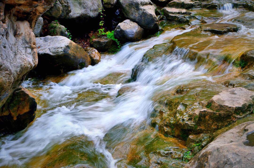 Aultmore 33yo，酒评