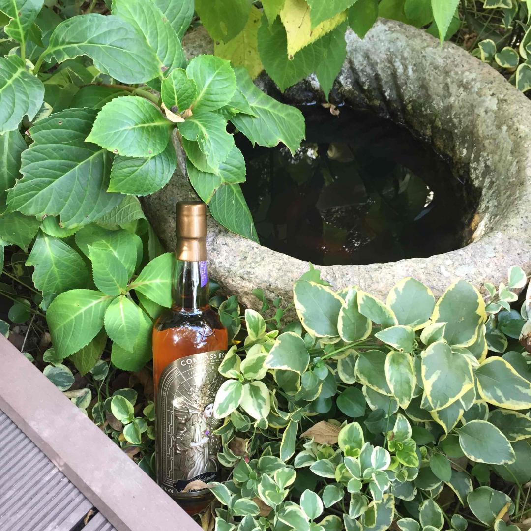 秋华秋实秋意浓，醉言醉语醉秋风