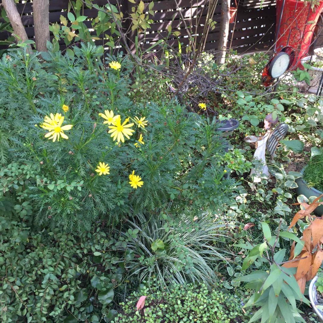 秋华秋实秋意浓，醉言醉语醉秋风