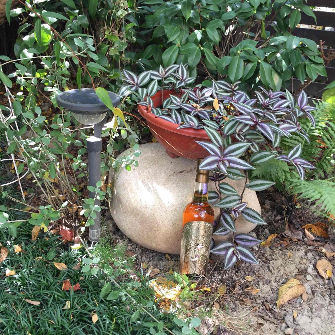 秋华秋实秋意浓，醉言醉语醉秋风