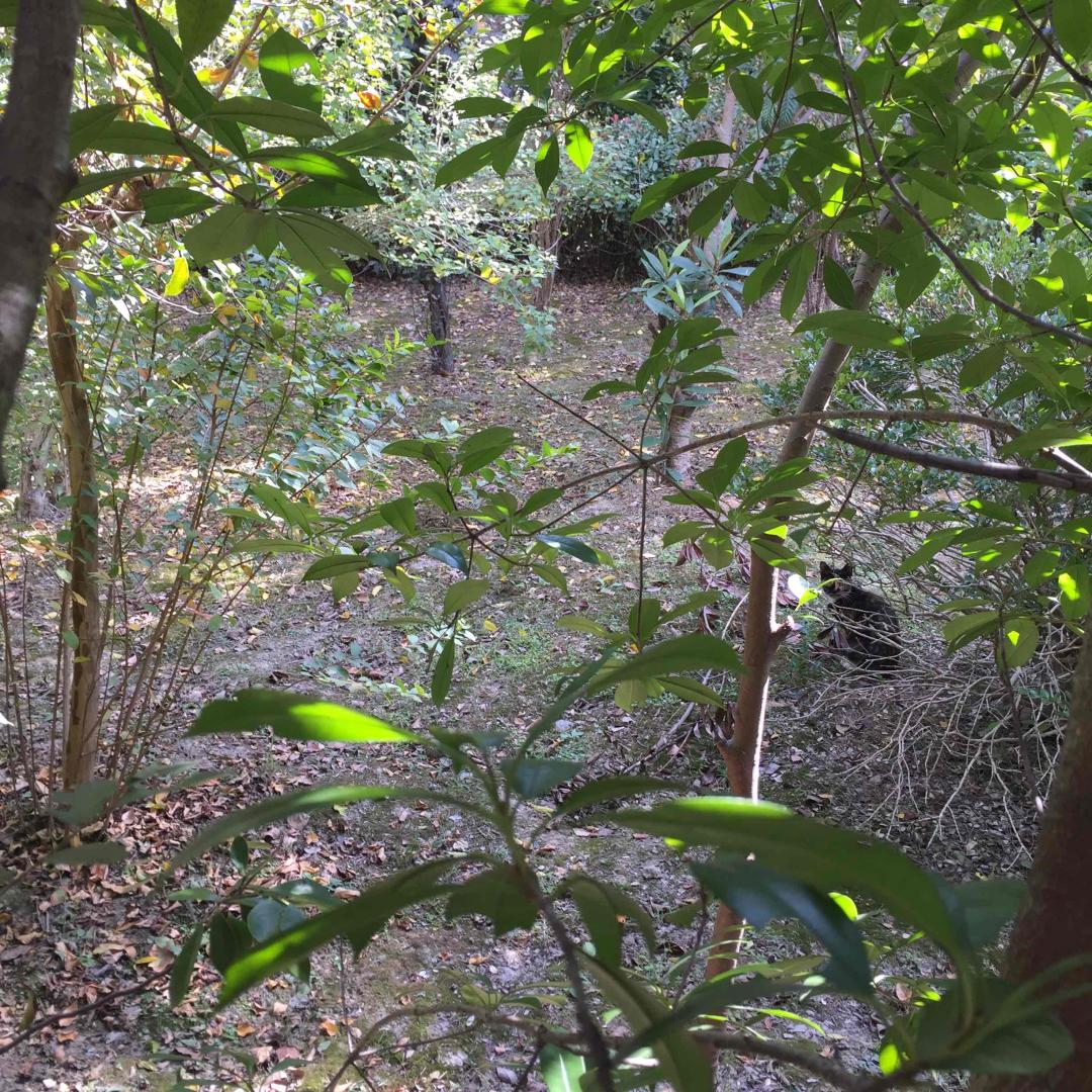 秋华秋实秋意浓，醉言醉语醉秋风