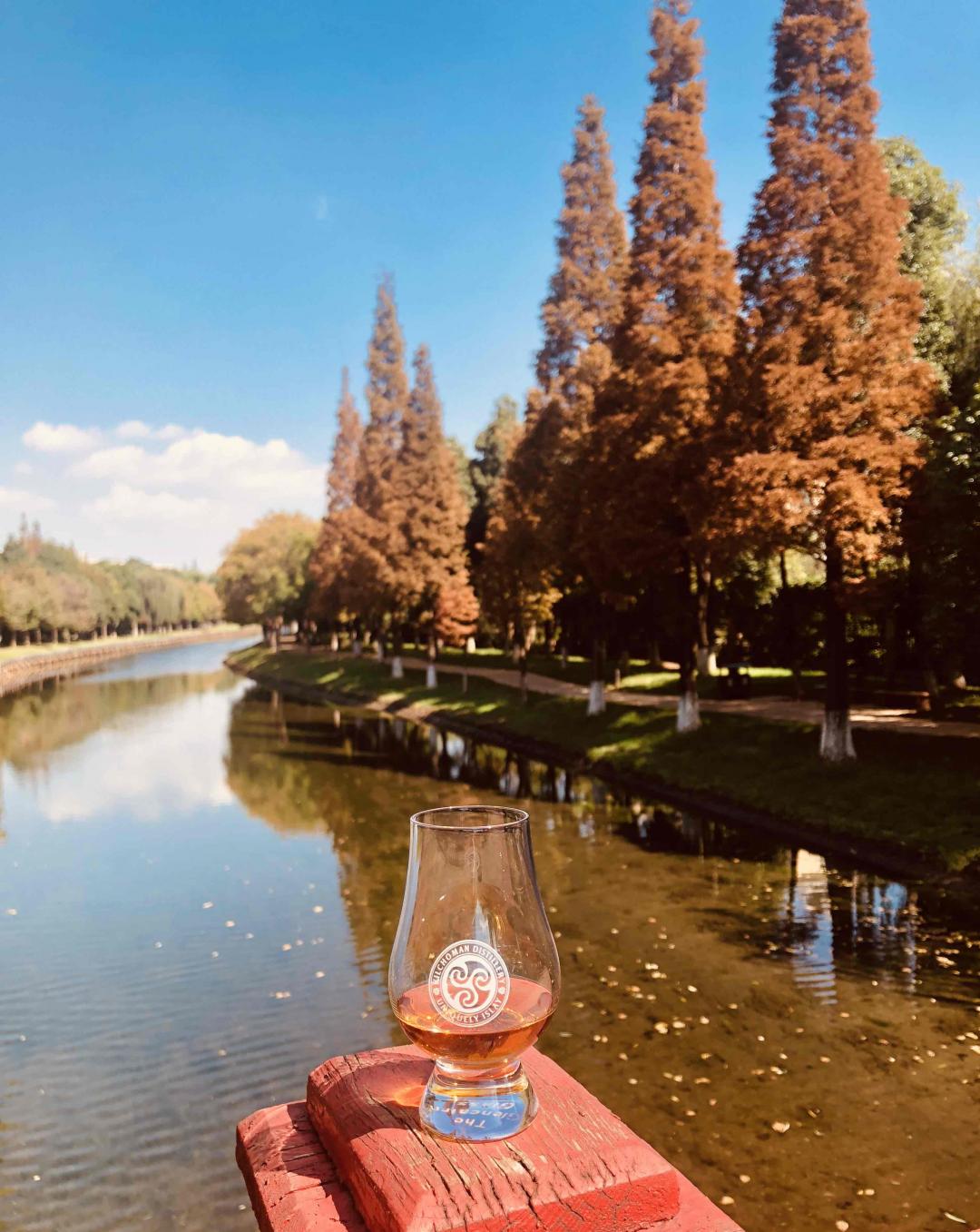 未觉池塘春草梦，阶前梧叶醉秋风。