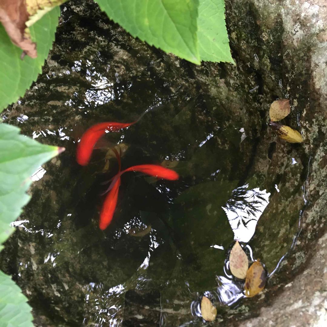 光明还是黑暗？