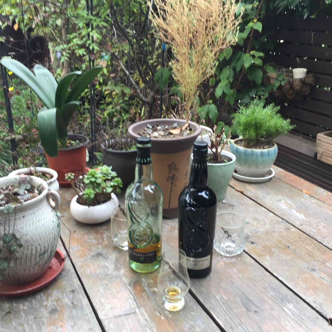 光明还是黑暗？