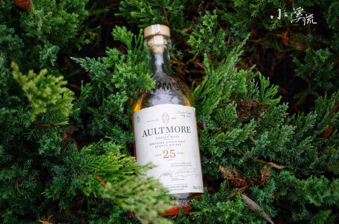 秋风长 落叶黄 山枫如火一夜凉【醉秋风】